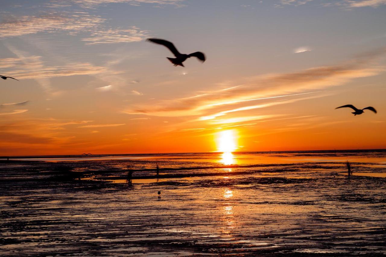 Landhaus Braband Ferienwohnungen - Gustav-Schoenleber-Weg 2 Cuxhaven Exteriér fotografie